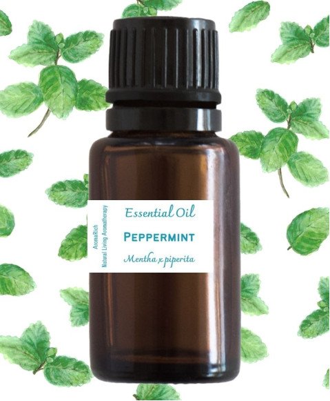 Peppermint Essential Oil